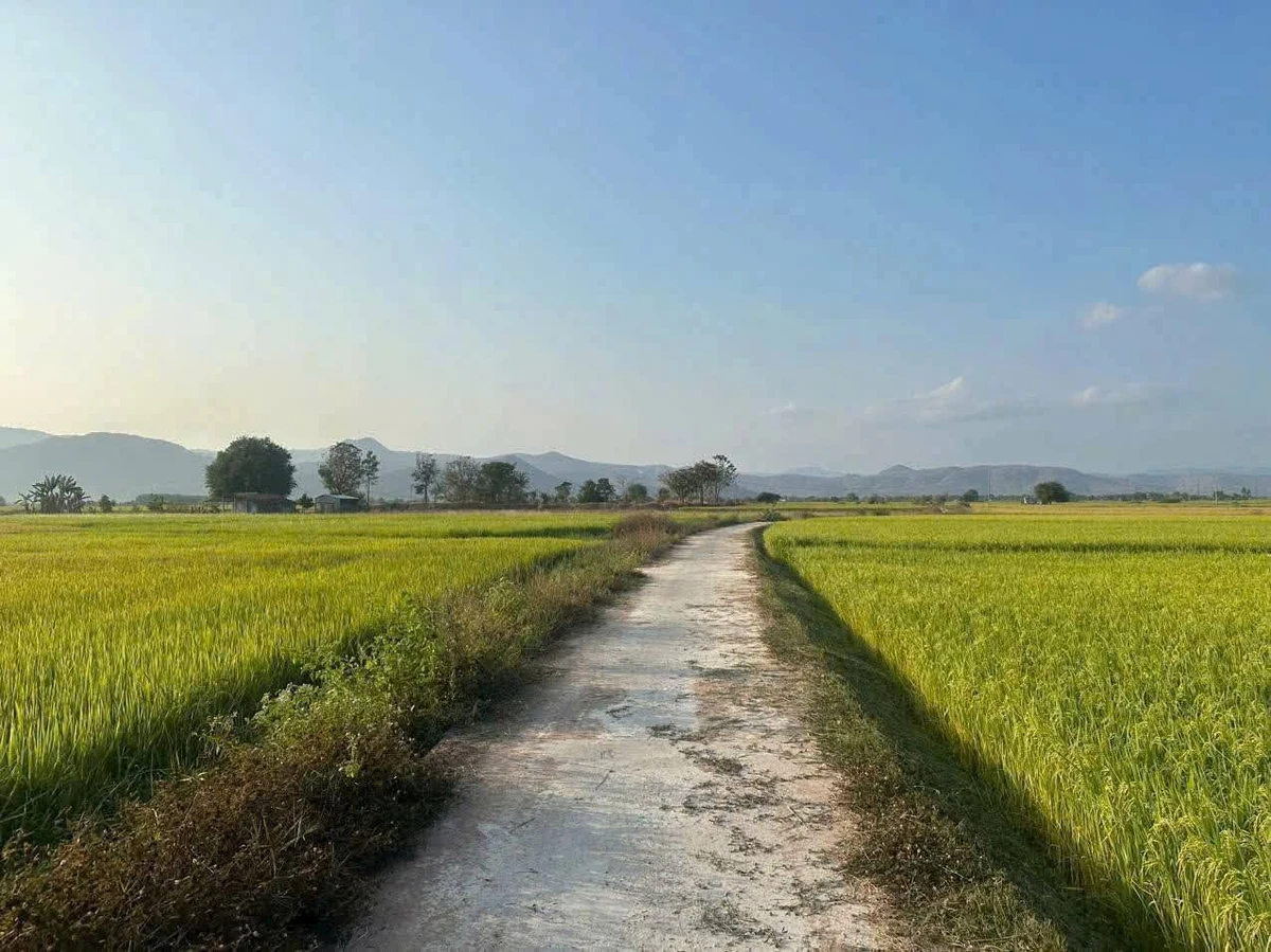 Bán đất thổ cư 1000m² Hàm Thuận 650 triệu - Ảnh 1