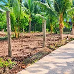 Bán đất 7x40m có 95m2 thổ cư gần trường cấp 2 Tân Thạch, giá 595 triệu - Ảnh thu nhỏ 4