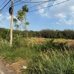 Bán đất 1 hectare mặt tiền Bến Cát, Bình Dương - Ảnh thu nhỏ 3