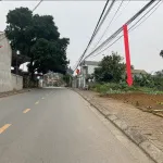 Chính chủ mở bán các lô đất giá từ 900 triệu/ lô giáp khu công nghiệp Tràng Duệ bao sổ đỏ - Ảnh thu nhỏ 7