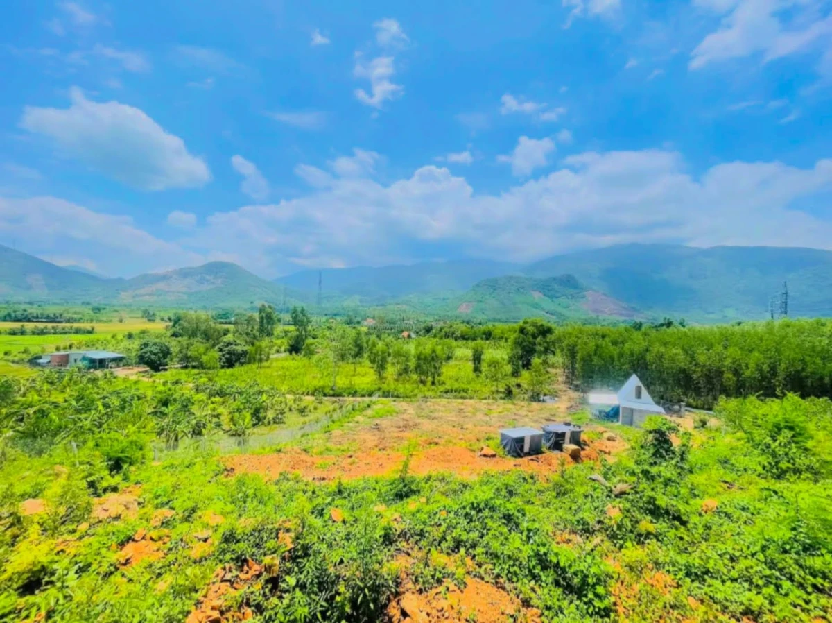 Bán đất vườn 3.000m² Ninh Lộc 750 triệu - Ảnh thu nhỏ 2