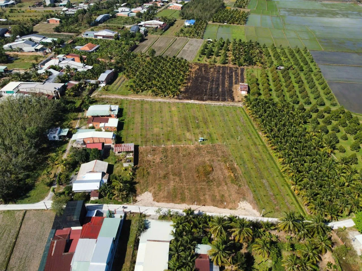Bán đất 5x40m thổ cư Phước Hội, Tây Ninh, 400 triệu - Ảnh thu nhỏ 5