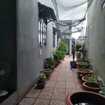 Bán nhà mới xây 3PN 4WC, 120m² Tây Ninh - Ảnh thu nhỏ 3