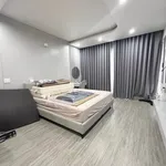 Bán nhà phố 4 tầng nội thất Hồ Đá Bình Tân - Ảnh thu nhỏ 2