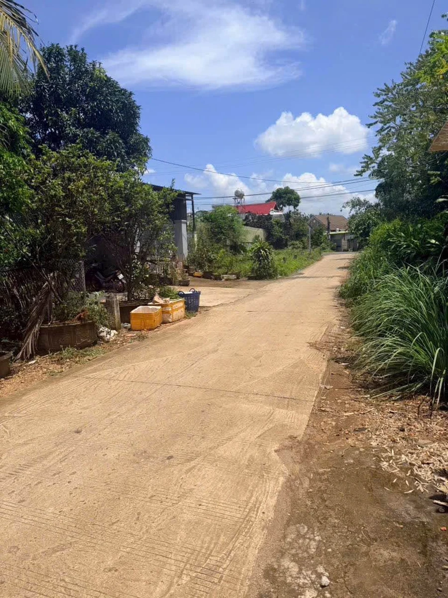 Bán gấp 200m² đất thổ cư gần chợ Phan Huy Chú, Bình Tân - Ảnh thu nhỏ 4