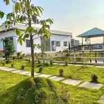 Nhà vườn 900m² Phước Vân, Cần Đước, Long An - 3 tỷ 7 - Ảnh thu nhỏ 4