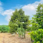 Bán đất 9 sào mặt tiền nhựa Bảo Quang, Đồng Nai - Ảnh thu nhỏ 3