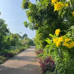 Bán đất 1444m2 tại xã Kim Long, Bà Rịa - Vũng Tàu, giá 2 tỷ 6 - Ảnh thu nhỏ 5