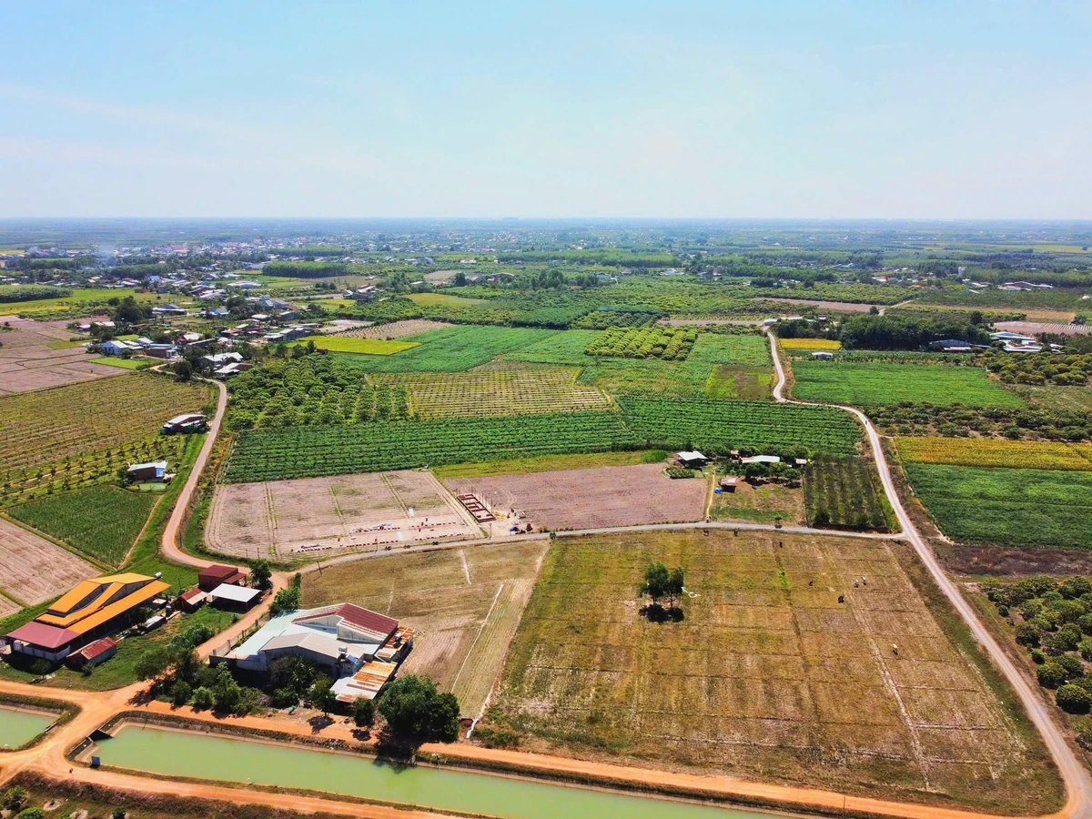 Bán đất full thổ cư 155m² chỉ 290 triệu - Ảnh thu nhỏ 4