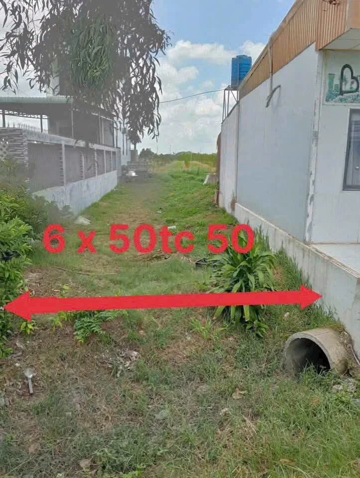 Bán đất mặt tiền Đường Nhựa 784, Tây Ninh, 300m² - Ảnh thu nhỏ 2