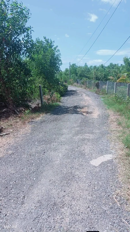 Bán đất 25m x 46m (1150m²) tại Xuân Lộc, Phú Yên