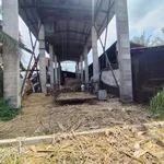 Bán đất và nhà xưởng 3.000m² Mỏ Cày Bắc, giá 1 tỷ 6 - Ảnh thu nhỏ 4