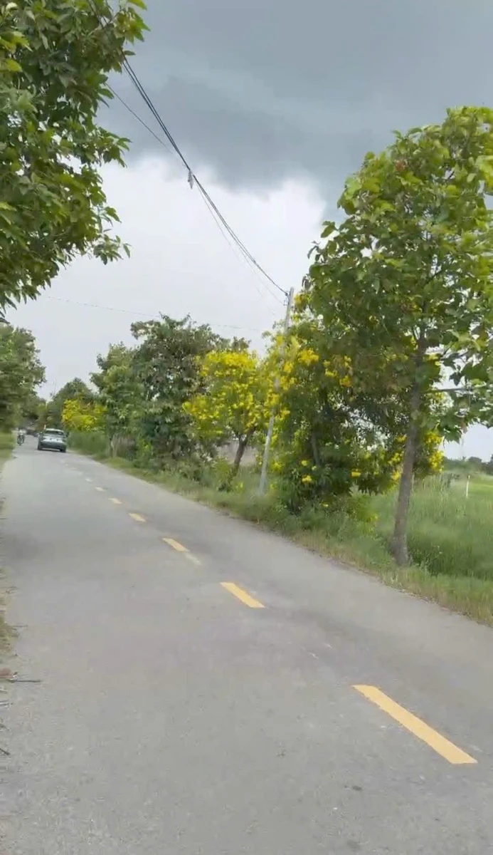 Bán 2000m² đất mặt tiền Thanh Phú, Long An - Ảnh 1