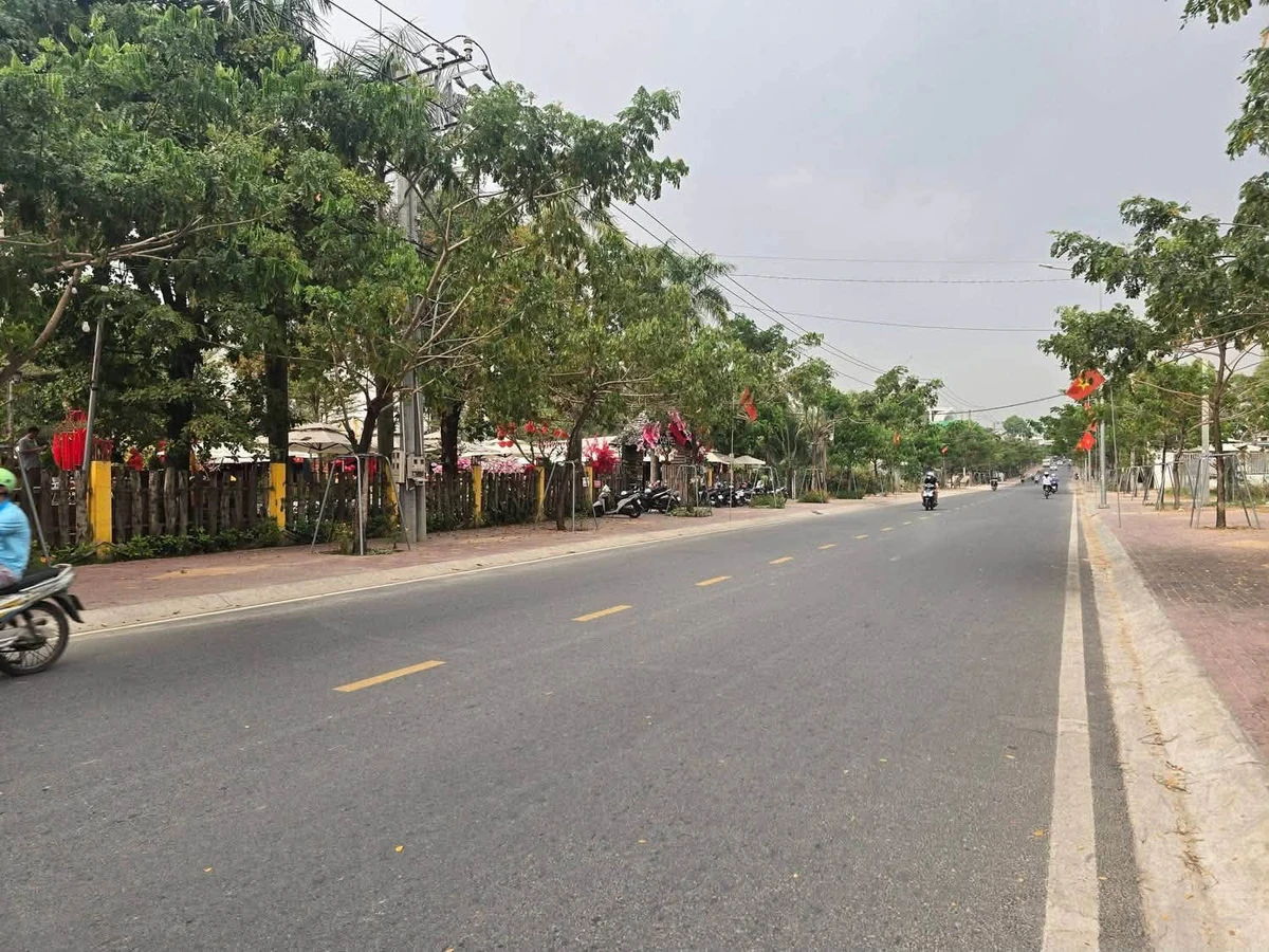 Bán đất mặt tiền Bùi Ngọc Thu 723,8m² - 10 tỷ Bình Dương - Ảnh thu nhỏ 2
