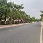 Bán đất mặt tiền Bùi Ngọc Thu 723,8m² - 10 tỷ Bình Dương - Ảnh thu nhỏ 2