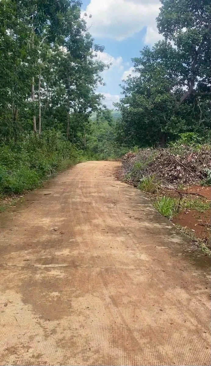 Bán đất 3.7 hectare cao su Phú Trung Bình Phước - Ảnh thu nhỏ 2