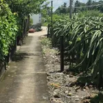 Bán đất lúa 955m² Châu Thành Long An 350 triệu - Ảnh thu nhỏ 1