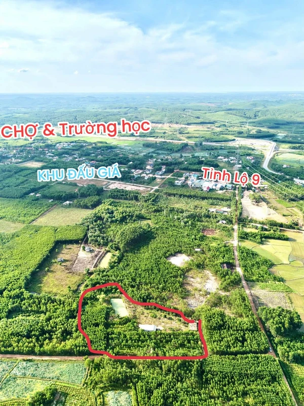 Bán đất trang trại 5500m2 Đông Thái gần chợ trường học