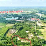 Bán đất trang trại 5500m2 Đông Thái gần chợ trường học - Ảnh thu nhỏ 1