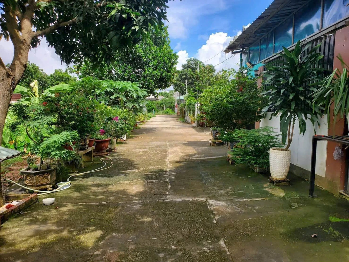 Bán đất biệt thự 438m² Tam Long, Bà Rịa - Vũng Tàu - Ảnh thu nhỏ 2