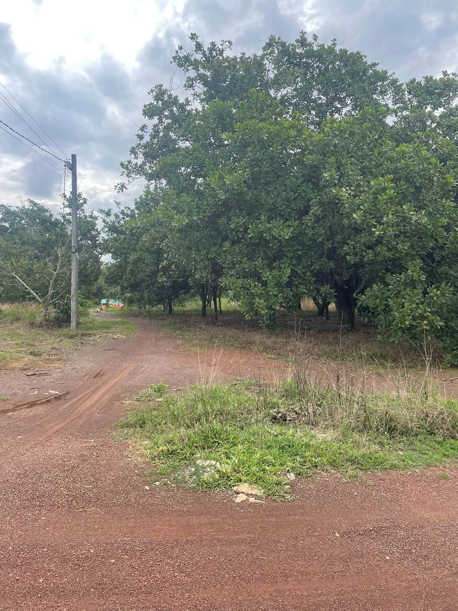 Bán 1 hectare đất Phường Đồng Phú, Bình Dương 8,5 tỷ - Ảnh thu nhỏ 3