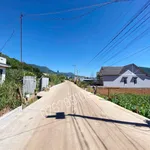 Bán đất 953m2 Hiệp Thạnh Bình Chánh giáp rừng thông - Ảnh thu nhỏ 1