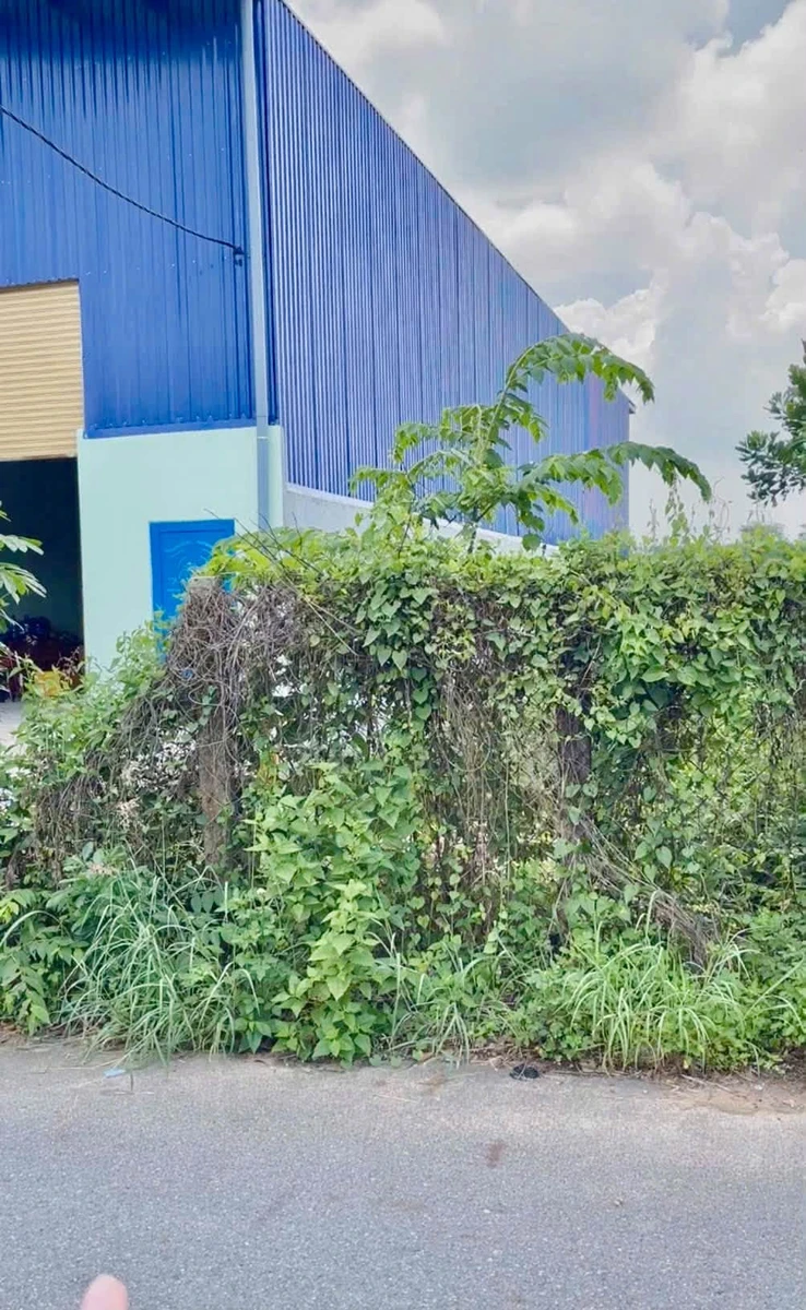 Bán đất Hòa Lợi 858m² gần DT741, giá 4,3 tỷ - Ảnh thu nhỏ 3