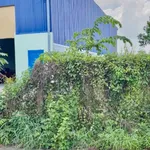 Bán đất Hòa Lợi 858m² gần DT741, giá 4,3 tỷ - Ảnh thu nhỏ 3
