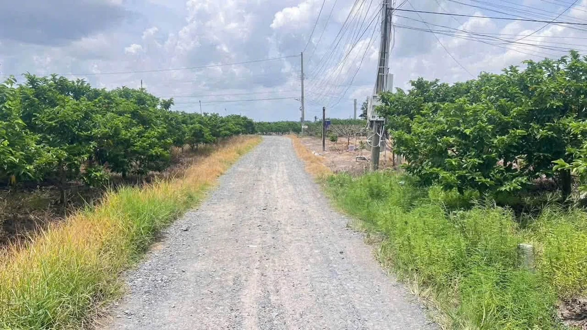 Bán lô đất 300m² Dương Minh Châu, Tây Ninh, giá 429 triệu - Ảnh thu nhỏ 5