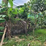 Bán nền 500m2 Tân Phú Thạnh Hậu Giang 770 triệu - Ảnh thu nhỏ 3