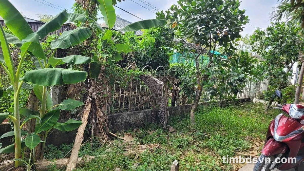 Bán nền 500m2 Tân Phú Thạnh Hậu Giang 770 triệu - Ảnh thu nhỏ 3