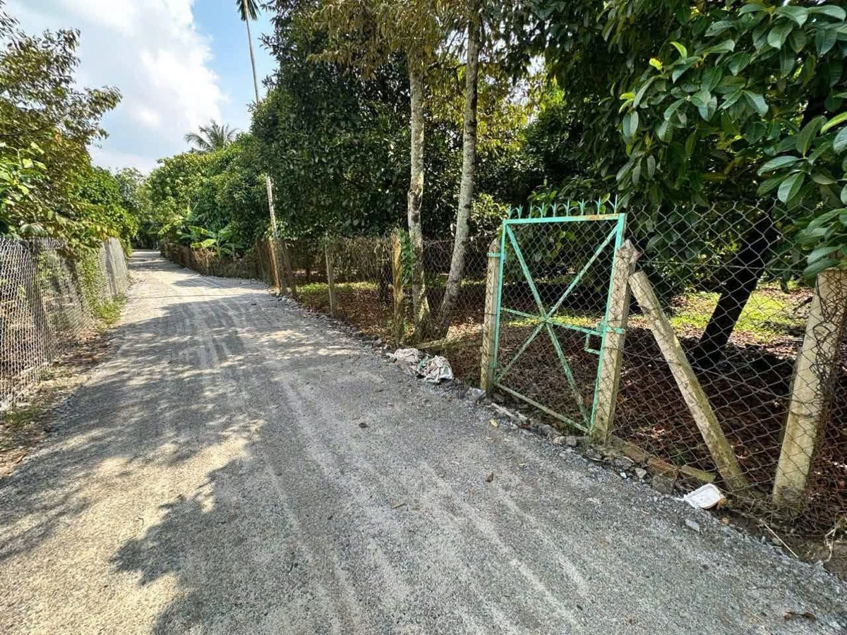 Bán đất thổ cư An Sơn 33, 200m² Bình Chánh - Ảnh 1
