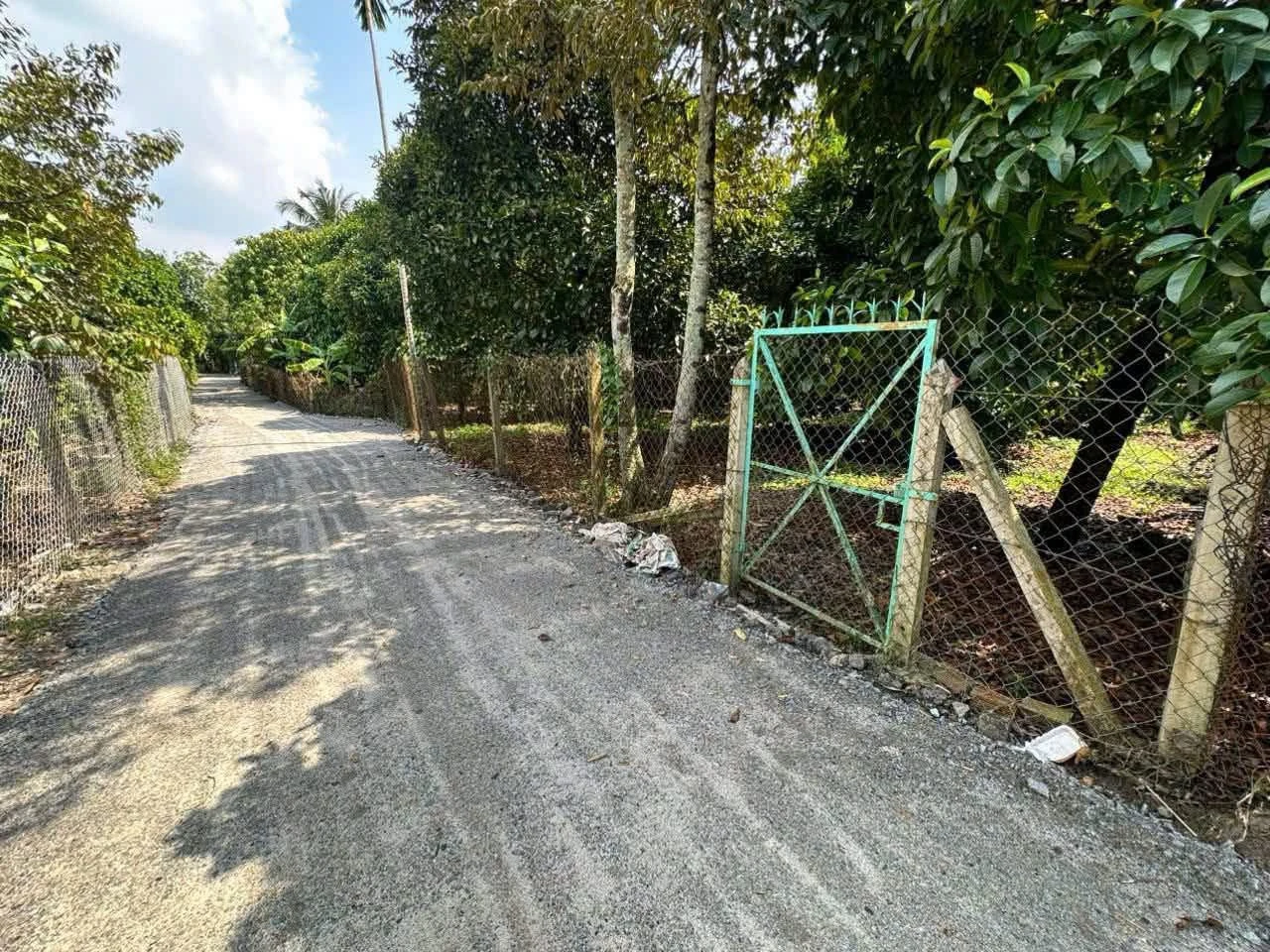 Bán đất thổ cư An Sơn 33, 200m² Bình Chánh - Ảnh 1