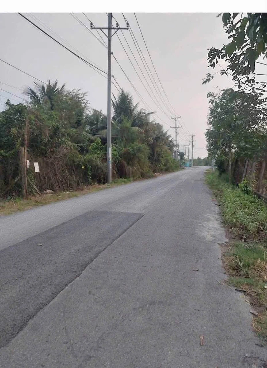 Bán đất 1200m2 mặt tiền Phạm Văn Ngô, Tân Khánh - 3 tỷ - Ảnh thu nhỏ 3