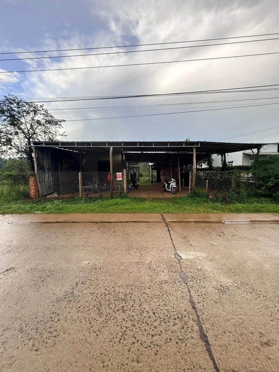 Bán lô đất 1300m2 đường rộng Hoà Thành Đắk Lắk 950 triệu - Ảnh thu nhỏ 3