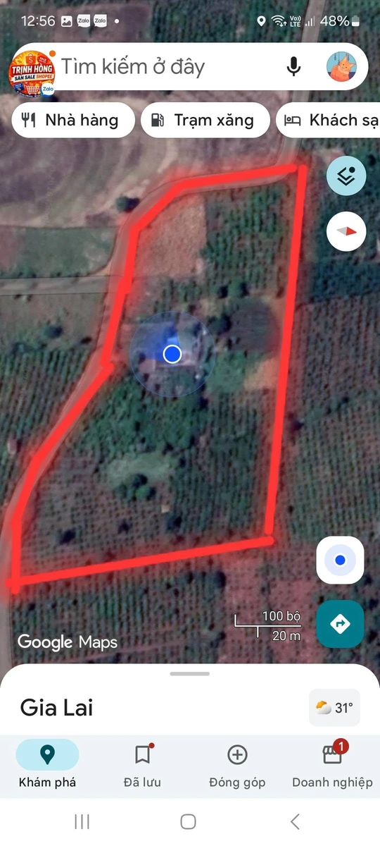 Bán đất nông nghiệp 1,5 hectare Gia Lai 4 tỷ - Ảnh thu nhỏ 3