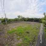 Bán nền lộ ô tô 175m² chỉ 295 triệu tại Vĩnh Long - Ảnh thu nhỏ 2