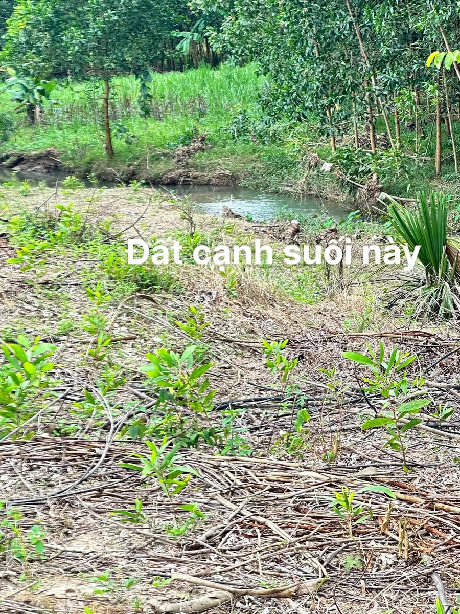 Bán đất thổ cư 346m2 xã Khánh Hiệp Khánh Hòa - Ảnh thu nhỏ 2