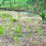 Bán đất thổ cư 346m2 xã Khánh Hiệp Khánh Hòa - Ảnh thu nhỏ 2