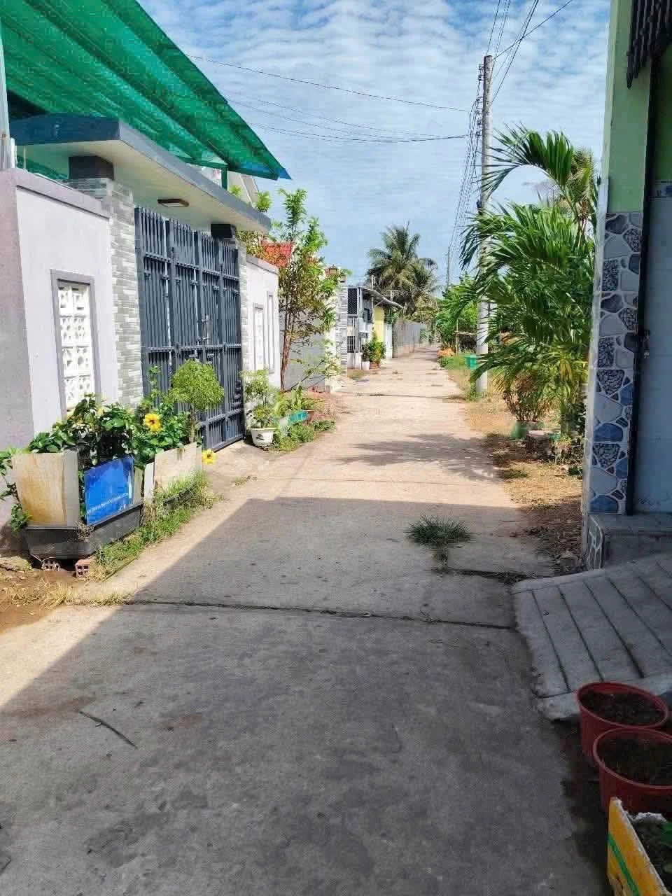 Bán đất thổ cư Phường Sơn Đông Bến Tre 118m² 780 triệu - Ảnh 1