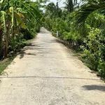 Bán đất vườn dừa 1160 m² phường Phú Tân - Ảnh thu nhỏ 1