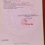 Bán cặp đất nền 173 m² Chánh Phú Hòa, Bến Cát, Bình Dương - Ảnh thu nhỏ 4