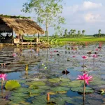 Bán lô đất 300m² Nam Yên Hoà Bắc 2 tỷ - Ảnh thu nhỏ 2