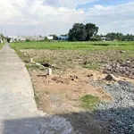 Bán nền đất 130m² đường Châu Thị Kim, Long An, 750 triệu - Ảnh thu nhỏ 3