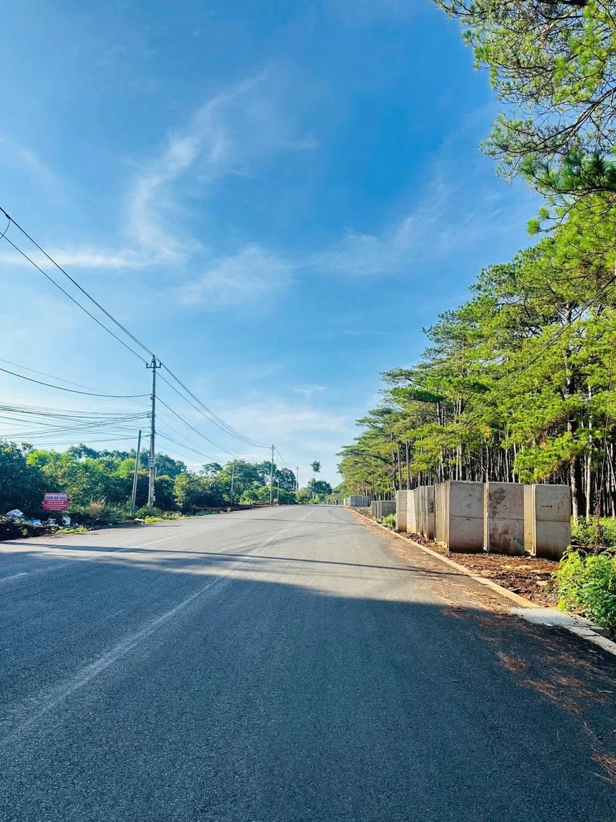 Bán đất 2 mặt tiền đường 19/5, 1000m2, Bình Chánh, 14 tỷ - Ảnh thu nhỏ 2