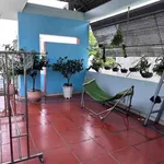 Bán nhà 3 tầng 62m² Phường An Phú Thủ Đức 3,59 tỷ - Ảnh thu nhỏ 3