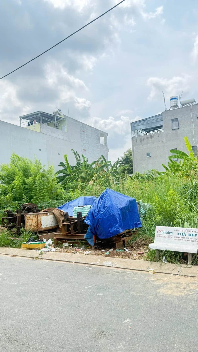Bán nền đất Sao Mai Bình Khánh An Giang 100 m² - 1.7 tỷ - Ảnh thu nhỏ 3
