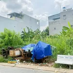 Bán nền đất Sao Mai Bình Khánh An Giang 100 m² - 1.7 tỷ - Ảnh thu nhỏ 3