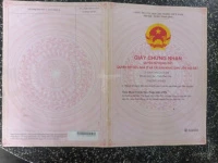 Cực rẻ, chỉ 75 triệu mua được 1,85ha đất rừng sản xuất - Ảnh thu nhỏ 5