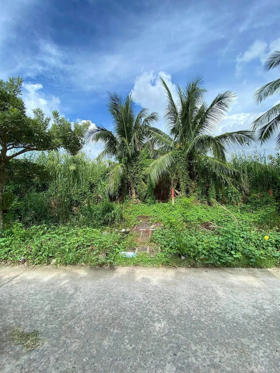 Bán 4 nền đất liền kề 553m² An Giang, giá 2 tỷ/nền - Ảnh thu nhỏ 4